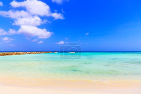Foto de Secluded turquoise beach in idyllic Aruba, Caribbean Blue sea, Duth Antilles - Imagen libre de derechos