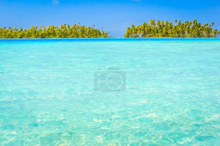 Foto de Bora Bora Paraíso tropical, idílica playa turquesa y soleada en la Polinesia Francesa, Tahití - Imagen libre de derechos