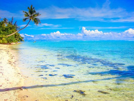 Téléchargez les photos : Huahine Paradis tropical, Plage idyllique turquoise et ensoleillée en Polynésie française, Tahiti - en image libre de droit