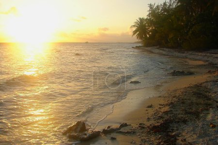 Foto de Moorea Paraíso tropical, Idílica playa turquesa y soleada en la Polinesia Francesa, Tahití - Imagen libre de derechos