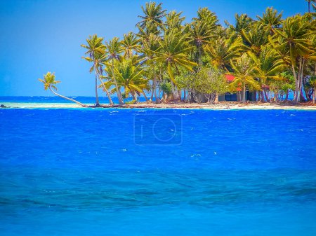 Téléchargez les photos : Bora Bora Paradis tropical, Plage idyllique turquoise et ensoleillée en Polynésie française, Tahiti - en image libre de droit