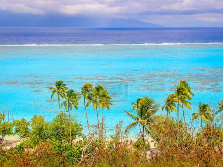 Foto de Moorea Paraíso tropical, Idílica playa turquesa y soleada en la Polinesia Francesa, Tahití - Imagen libre de derechos