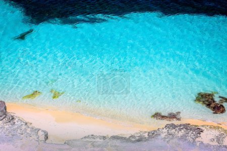Foto de Tropical paradise, sand beach in caribbean Saona Island, Punta Cana, Dominican Republic - Imagen libre de derechos
