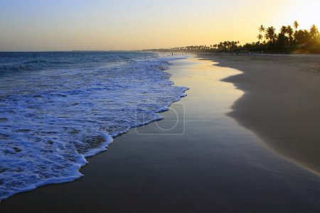 Photo for Idyllic Porto de Galinhas Beach in Pernambuco, Northeast of Brazil, South America - Royalty Free Image