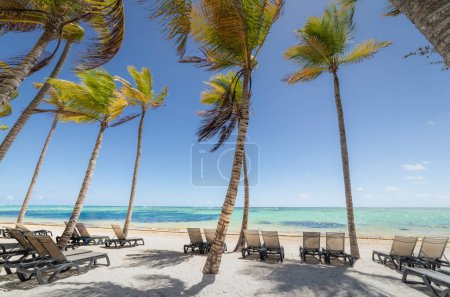 Téléchargez les photos : Bavaro Plage tropicale à Punta Cana par temps ensoleillé, Mer des Caraïbes, République dominicaine - en image libre de droit