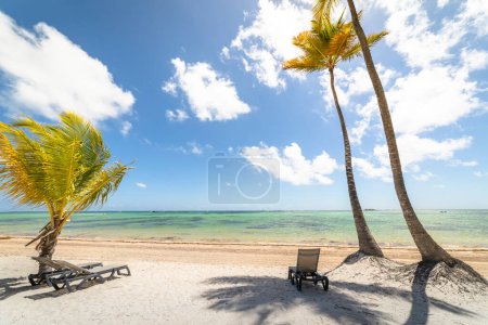 Téléchargez les photos : Bavaro Plage tropicale à Punta Cana par temps ensoleillé, Mer des Caraïbes, République dominicaine - en image libre de droit