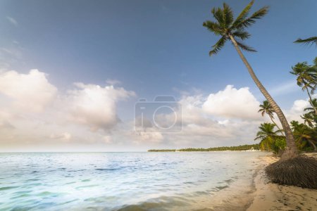 Téléchargez les photos : Palmier et plage tropicale idyllique et isolée à Punta Cana, mer des Caraïbes turquoise - en image libre de droit
