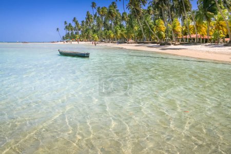 Téléchargez les photos : Carneiros Beach and fishermen boat in Pernambuco, Northeastern Brazil, South America - en image libre de droit