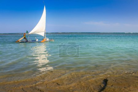 Photo for Carneiros Beach and jangada boat in Pernambuco at sunny day, Northeastern Brazil, South America - Royalty Free Image