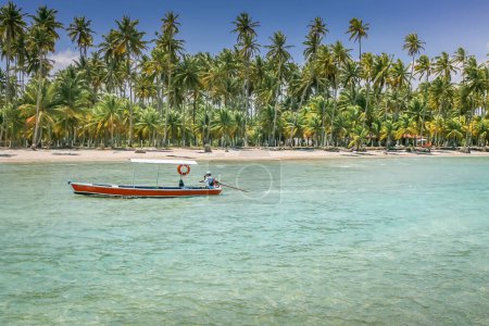 Photo for Carneiros Beach and fishermen boat in Pernambuco, Northeastern Brazil, South America - Royalty Free Image