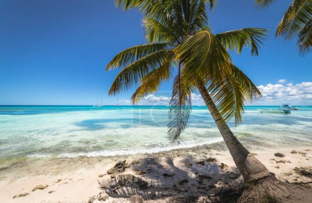 Téléchargez les photos : Boat and tropical beach in caribbean sea, idyllic Saona island, Punta Cana, Dominican Republic - en image libre de droit