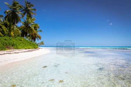 Foto de Playa tropical en el mar Caribe, isla idílica de Saona, Punta Cana, República Dominicana - Imagen libre de derechos