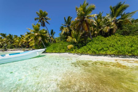 Téléchargez les photos : Bateau et plage tropicale dans la mer des Caraïbes, île idyllique de Saona, Punta Cana, République dominicaine - en image libre de droit