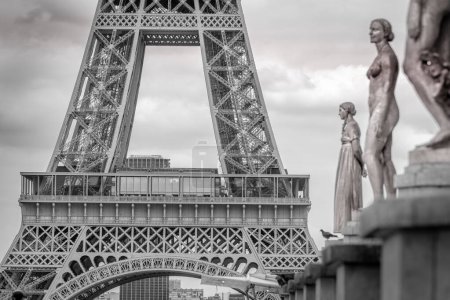 Foto de Eiffel Tower and french architecture from Trocadero at sunrise , Paris, France - Imagen libre de derechos