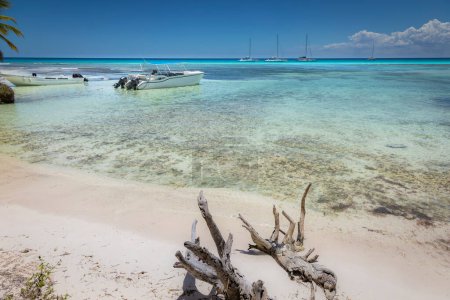 Foto de Barcos y playa tropical en el mar Caribe, isla idílica de Saona, Punta Cana, República Dominicana - Imagen libre de derechos