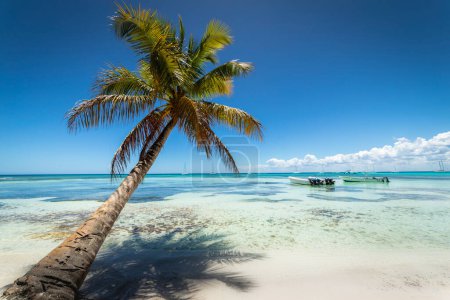 Téléchargez les photos : Bateaux et plage tropicale dans la mer des Caraïbes, île idyllique de Saona, Punta Cana, République dominicaine - en image libre de droit