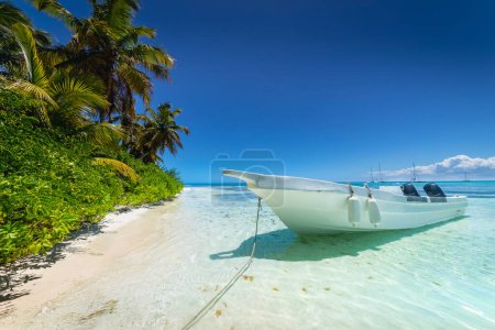 Téléchargez les photos : Bateau et plage tropicale dans la mer des Caraïbes, île idyllique de Saona, Punta Cana, République dominicaine - en image libre de droit