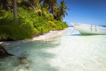 Téléchargez les photos : Bateaux et plage tropicale dans la mer des Caraïbes, île idyllique de Saona, Punta Cana, République dominicaine - en image libre de droit