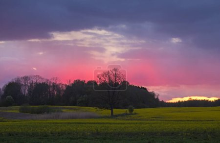 Foto de Cielo dramático sobre los campos. Paisaje agrícola en Lituania oriental
. - Imagen libre de derechos