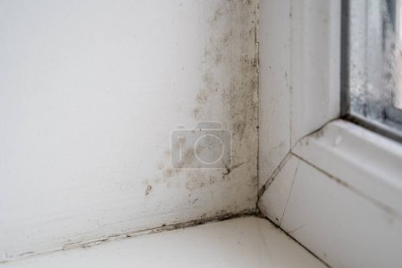 Téléchargez les photos : Vieille fenêtre sale, moisissure noire pousse sur le rebord de la fenêtre, dommages domestiques, moisissure, humidité élevée dans la maison, propreté à la maison - en image libre de droit