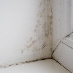 old dirty window, black mold grows on window sill, household damages, mildew, high moisture in home, cleanliness at the house
