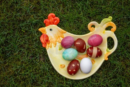 Photo for Dyed easter eggs on the chicken-shaped plate on green background. Easter celebration - Royalty Free Image