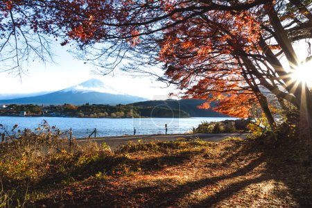 Photo for Colorful autumn of mountain Fuji landscape view destination with red maple tree. In sunlight clear sky. Kawaguchiko lake, Yamanashi, Japan. - Royalty Free Image