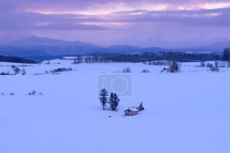 Foto de Snow plain of Biei town. Alone cottage house view travel landmark in the silent morning cloud of sunlight on winter. Hokkaido, Japan. - Imagen libre de derechos