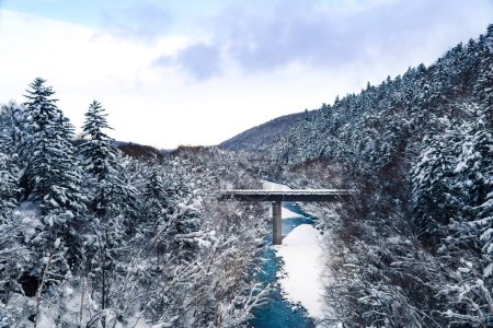 Photo for Biei blue river screen on winter. Bridge among white forest in morning. Hokkaido, Japan. - Royalty Free Image