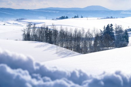 Foto de Snow plain of Biei town with countryside farm view lifestyle on winter. Hokkaido, Japan. - Imagen libre de derechos