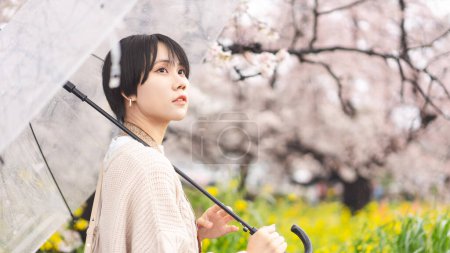 Téléchargez les photos : Jour de pluie avec la fleur de cerisier sakura sur la saison de printemps au Japon. Jeune femme japonaise adulte utilisant un parapluie. Les modes de vie en plein air voyagent dans la nature. - en image libre de droit