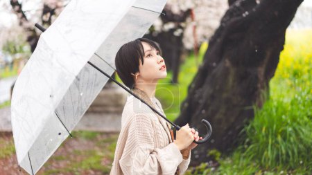 Téléchargez les photos : Jour de pluie avec la fleur de cerisier sakura sur la saison de printemps au Japon. Jeune femme japonaise adulte utilisant un parapluie. Les modes de vie en plein air voyagent dans la nature. - en image libre de droit