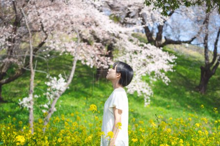 Photo for Young adult asian japanese woman standing relax and calm in yellow flower blossom field. Outdoor leisure in nature on spring season. - Royalty Free Image