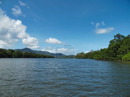 rainforest Kuranda river crocodile Australia Cairns Tropical North Queensland. High quality photo