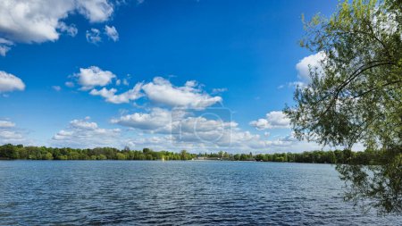 A tree stands in front of a serene lake, reflecting the blue sky with fluffy clouds. The natural landscape is a perfect blend of water, sky, and plant life Hanover Maschsee