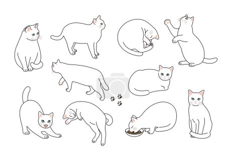 Téléchargez les illustrations : Matériel d'illustration de différentes poses de chats - en licence libre de droit