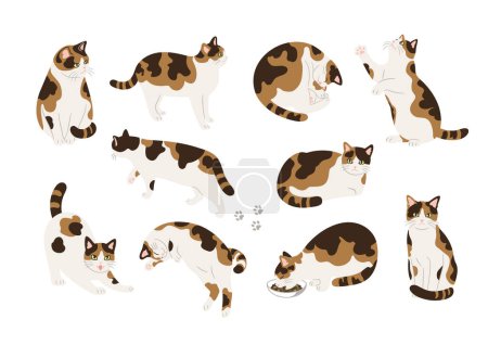 Téléchargez les photos : Illustration material of various poses of cats - en image libre de droit