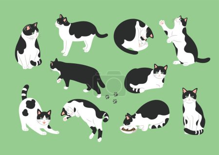 Ilustración de Conjunto de ilustración de gatos en varias poses. - Imagen libre de derechos