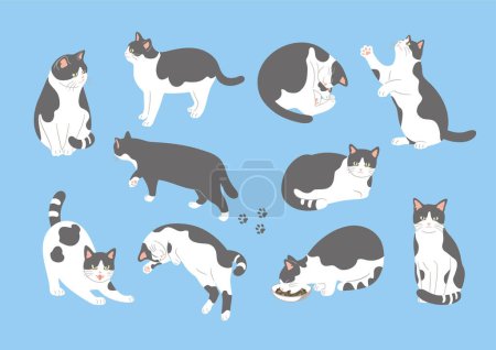 Téléchargez les illustrations : Ensemble d'illustration de chats dans différentes poses. - en licence libre de droit
