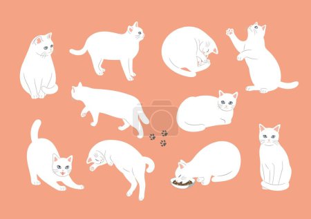 Illustration for Illustration set of cats in various poses. - Royalty Free Image