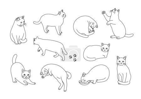 Téléchargez les photos : Illustration set of cats in various poses - en image libre de droit