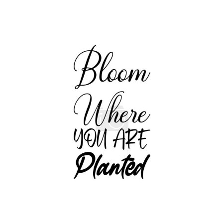 Ilustración de Bloom where you are planted black letters quote - Imagen libre de derechos