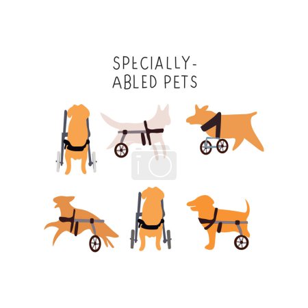 Illustration for Disabled Dogs set  vector - Royalty Free Image