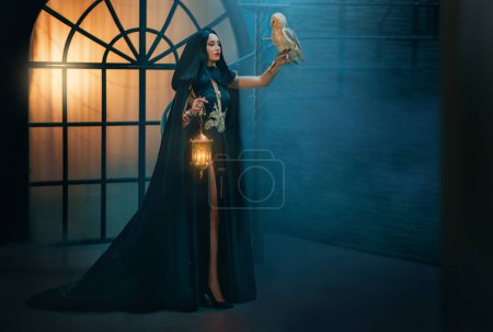 Photo for Photo real people mystery fantasy woman sexy vampire in black dress cape hood on head. Girl princess dark magician holds in vintage lamp lantern in hand. Lady elf queen white barn owl bird. night room - Royalty Free Image