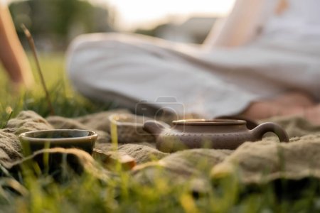 linen rug with ceramic teapot and cups on green grass near man in blurred background 