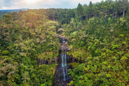 The Alexandra falls in the jungle of Mauritius island. Alexandra Falls aerial view in the Black River national park on paradise Island of Mauritius with the waterfall Alexandra Falls, Mauritius.