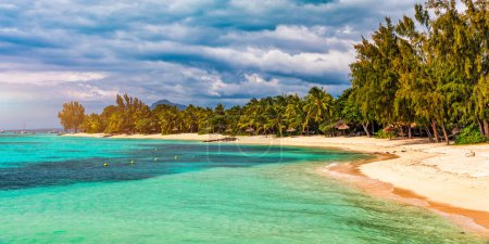 Téléchargez les photos : Paradise beach resort avec palmiers et mer tropicale sur l'île Maurice. Vacances d'été et concept de plage tropicale. Plage de sable avec plage Le Morne sur l'île Maurice. Paysage tropical. - en image libre de droit