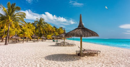 Palmen am tropischen Strand von Le Morne, Mauritius. Tropenurlaub Hintergrundkonzept am Strand von Le Morne, Mauritius. Paradiesischer Strand auf Mauritius, Palmen, weißer Sand, azurblaues Wasser.