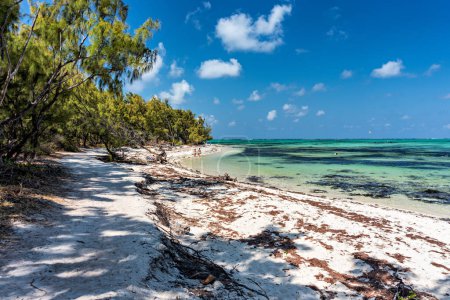 Insel Ile aux Cerfs mit idyllischem Strand, aquamarinfarbenem Meer und weichem Sand, Ile aux Cerfs, Mauritius, Indischer Ozean, Afrika. Ile aux Cerf auf Mauritius, schönes Wasser und atemberaubende Landschaft.