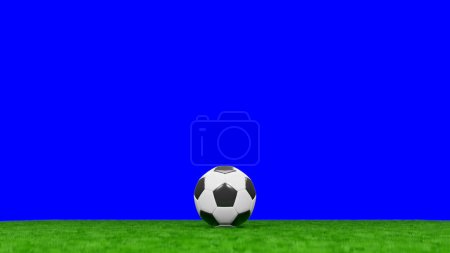 Photo for Soccer ball or Football at the center of a Green Grass Field. Space for content. 3D render. - Royalty Free Image